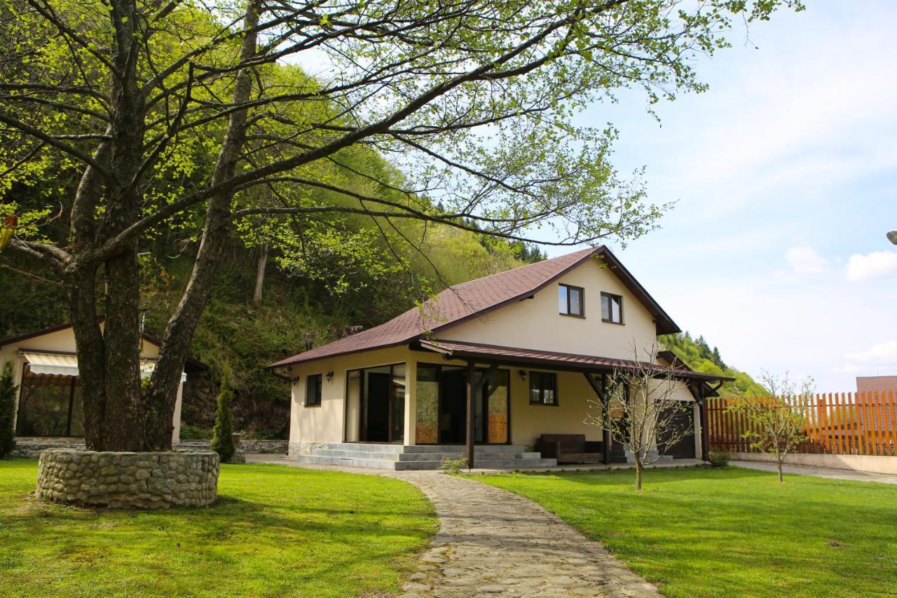 Pensiunea Tudor Breaza Exterior photo
